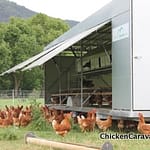 Chicken Caravan 450