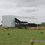 Chicken Caravan 450