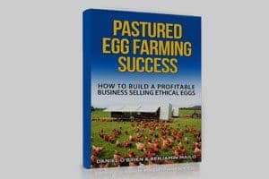 Pastured Egg Farming Success - Chicken Caravan