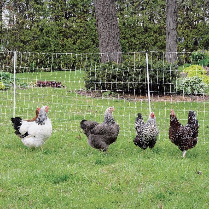 10x-spare-electric-chicken-fence-post-2